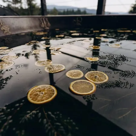 Forresthillresort * Slavske